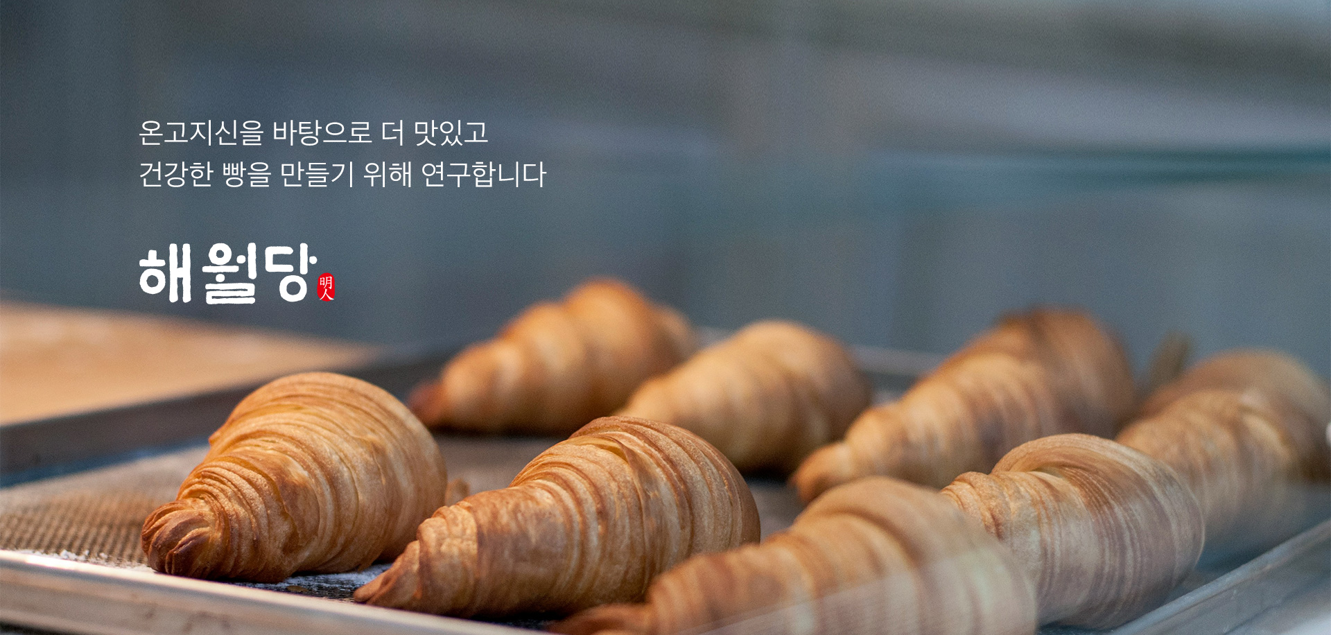 비주얼1